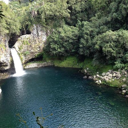 Le Beau Vallon 1- Jacuzzi Privatif Et Piscine Chauffee Partagee Saint-Benoît Buitenkant foto
