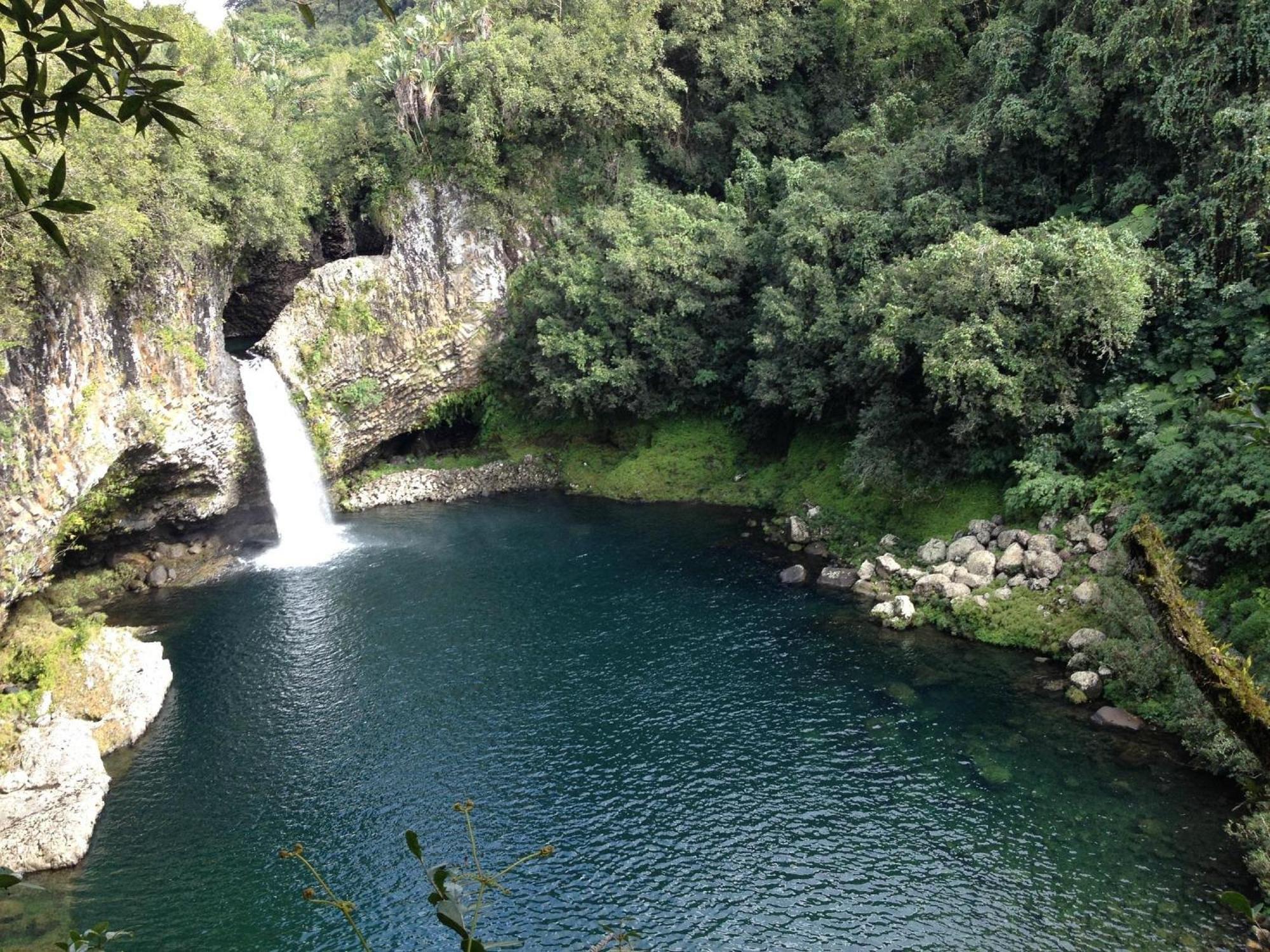 Le Beau Vallon 1- Jacuzzi Privatif Et Piscine Chauffee Partagee Saint-Benoît Buitenkant foto